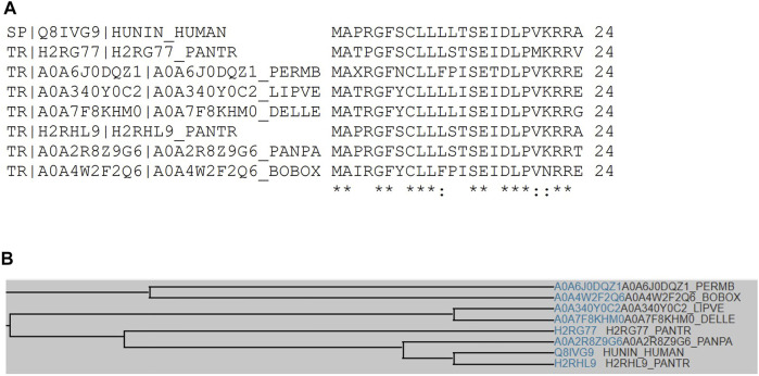 FIGURE 2