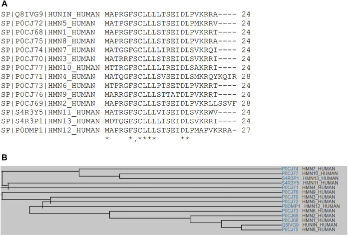 FIGURE 1