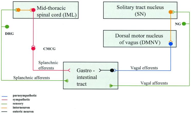 FIG. 1