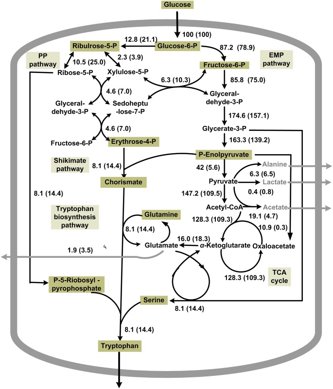 Fig 5