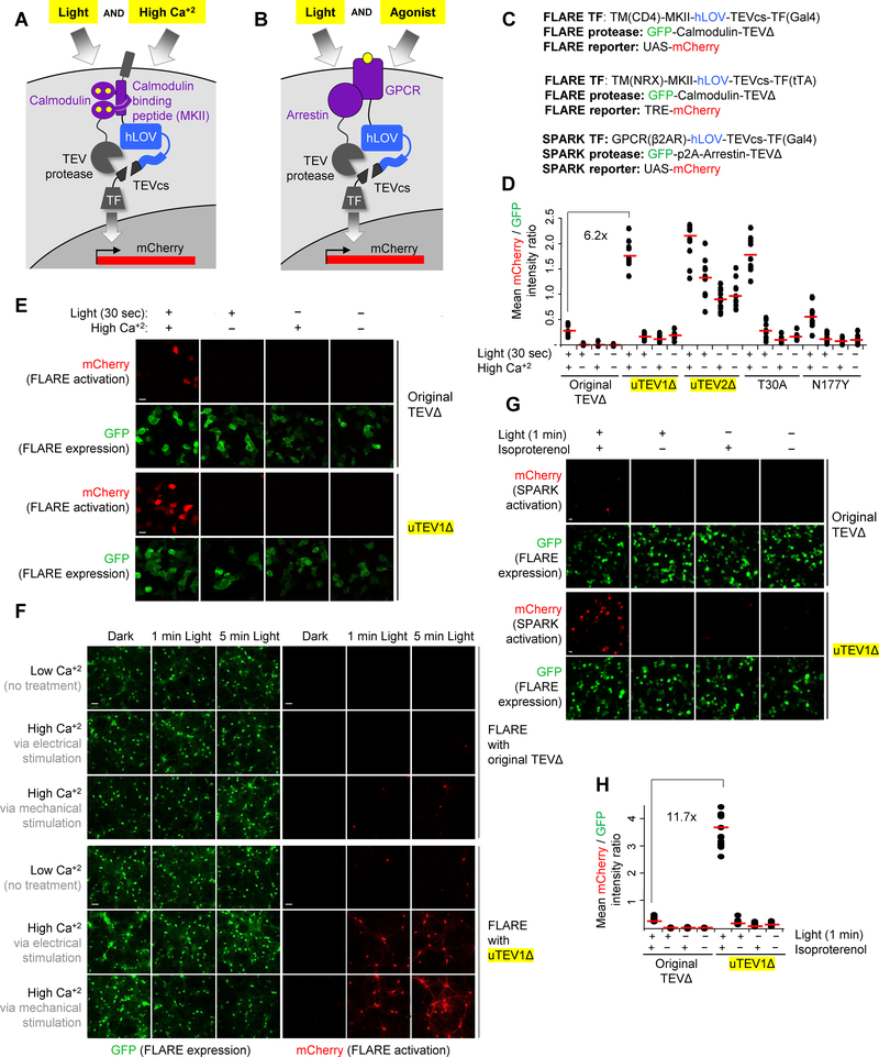 Figure 4: