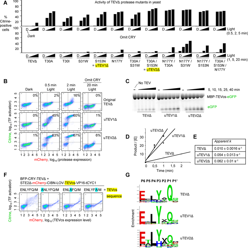 Figure 2: