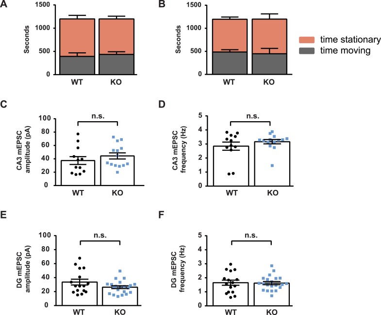 Figure 4—figure supplement 1.