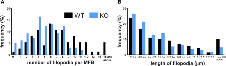 Figure 3—figure supplement 1.