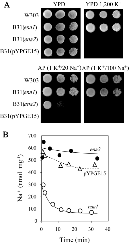 FIG. 3.