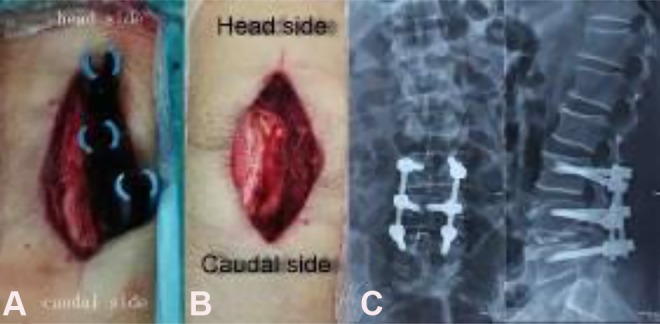 Figure 2.