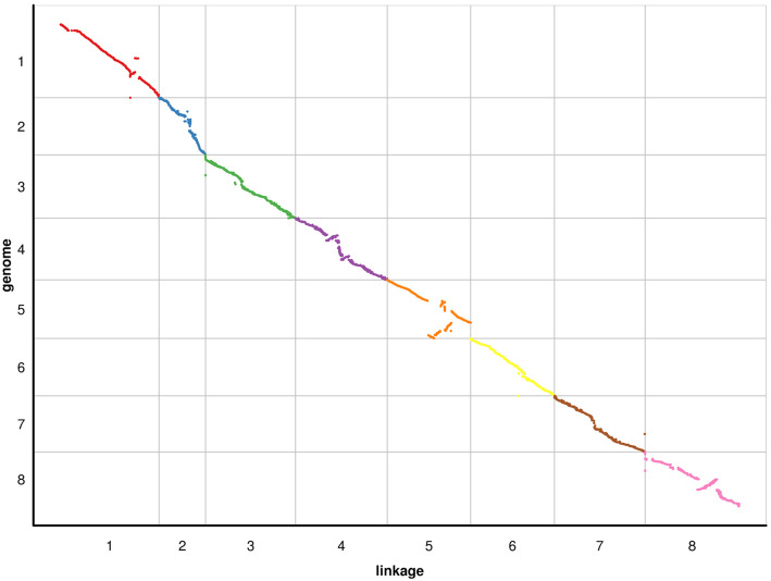 Fig. 2