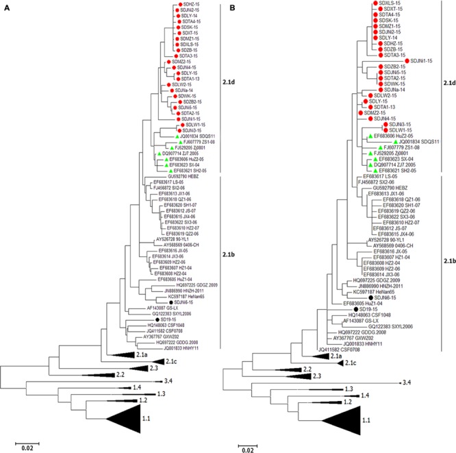 FIGURE 2