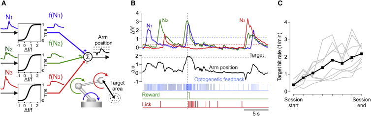 Figure 5