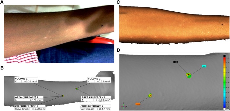 Figure 3.