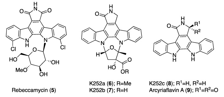 Figure 10