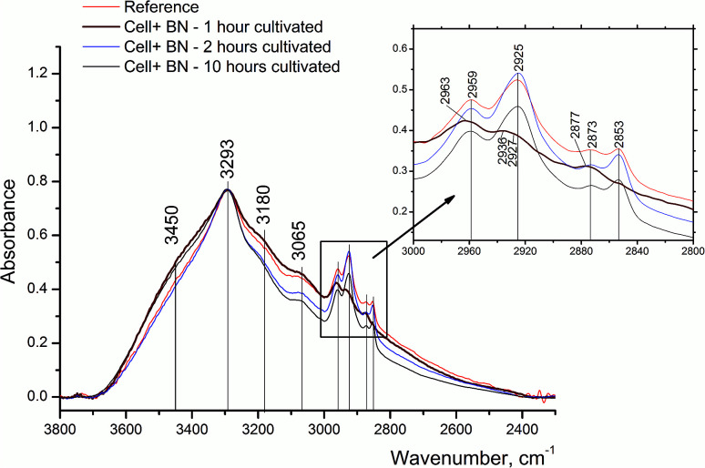 Fig. 3