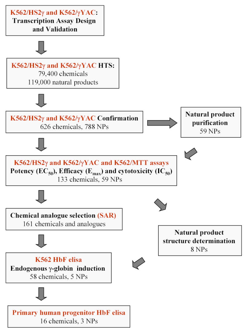 FIGURE 2