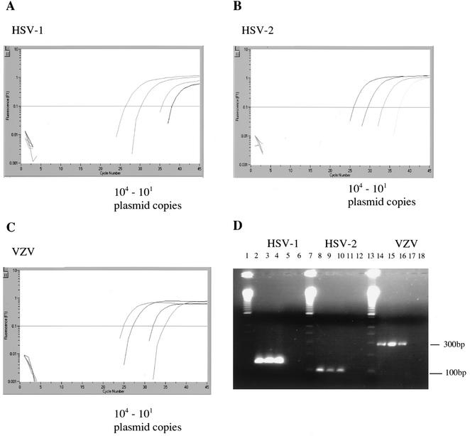 FIG. 1.