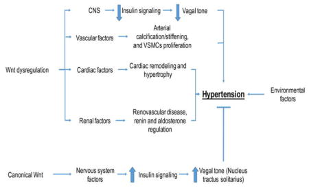 graphic file with name nihms877321u1.jpg