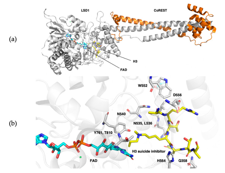 Figure 10