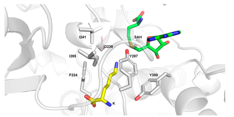 Figure 6