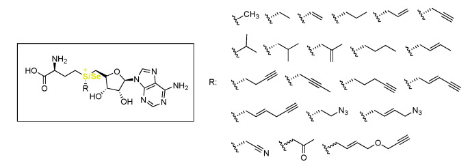 Figure 9