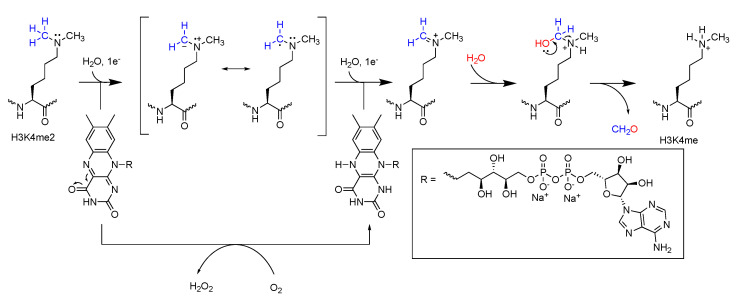 Figure 11