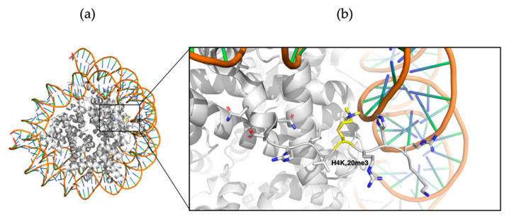 Figure 18