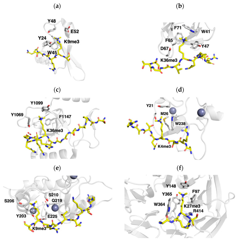 Figure 15