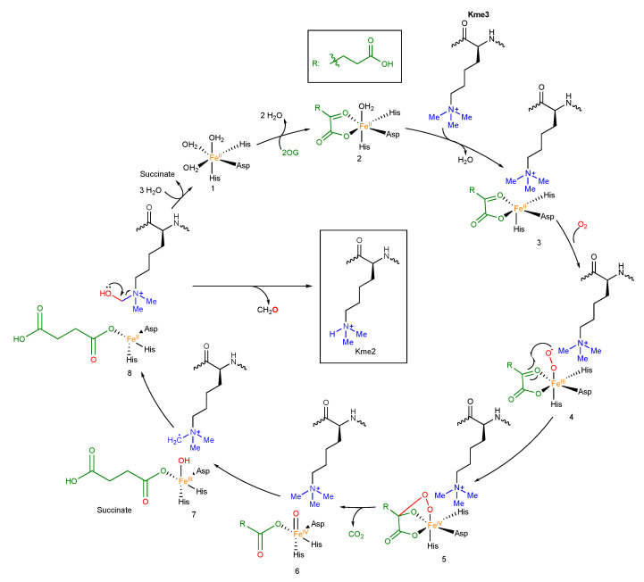 Figure 13