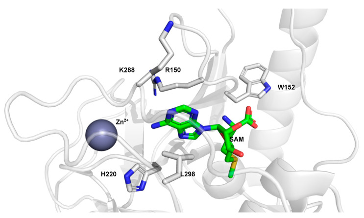 Figure 7