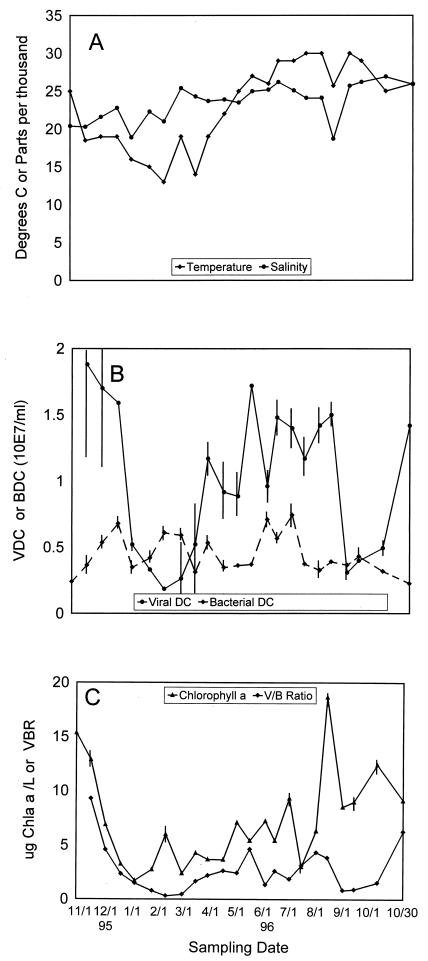 FIG. 1