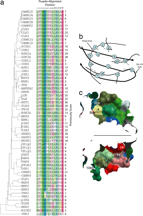 Fig. 3.