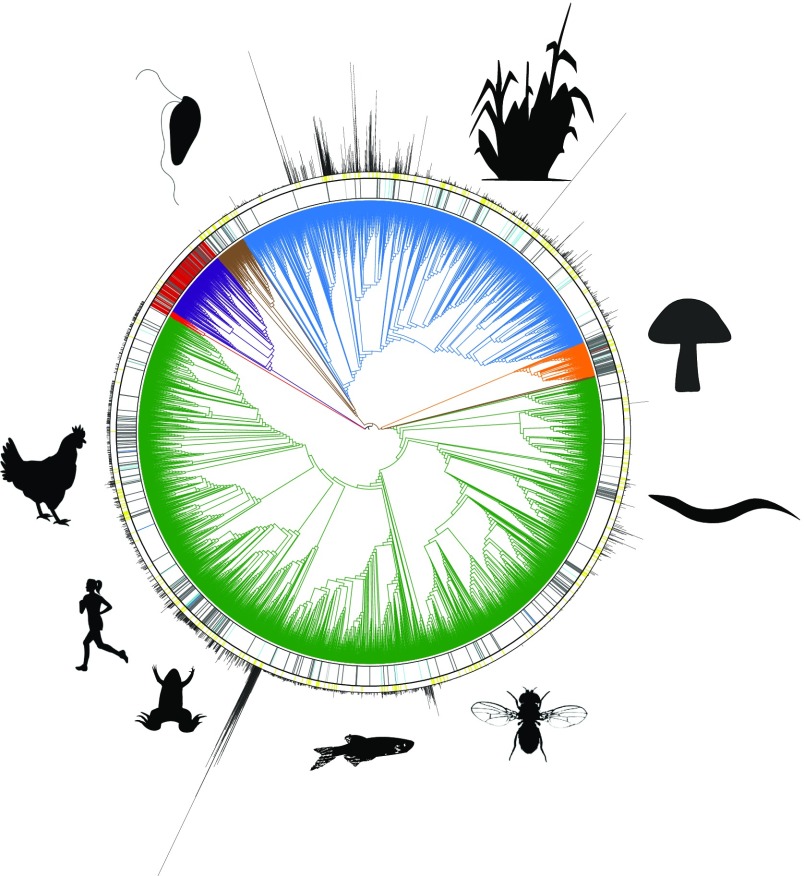 Fig. 1.