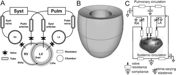 Fig. 5