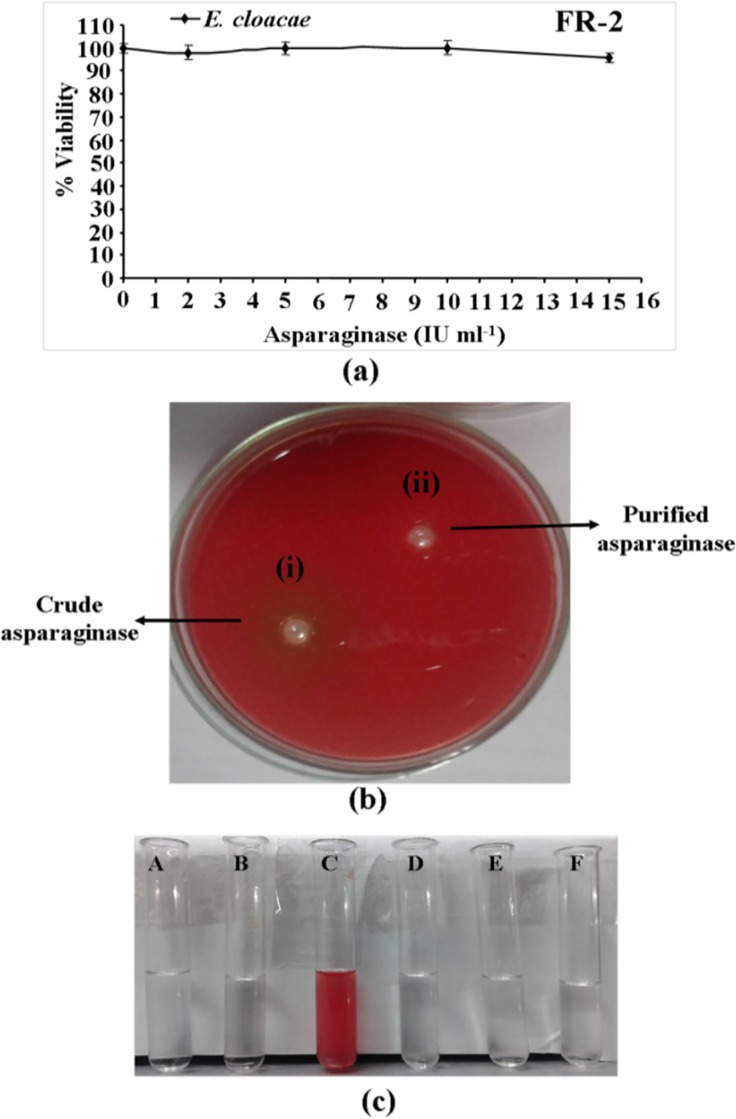 Fig 12