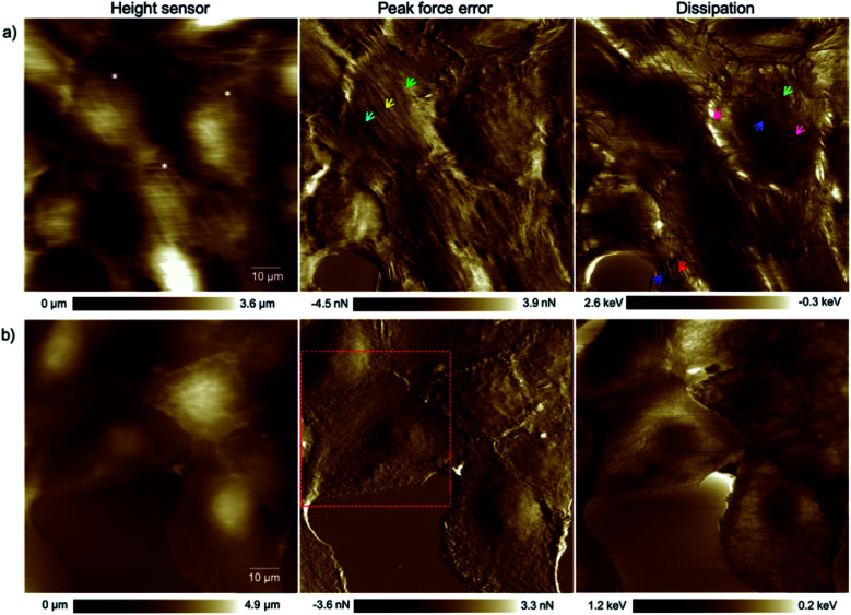 Fig. 4