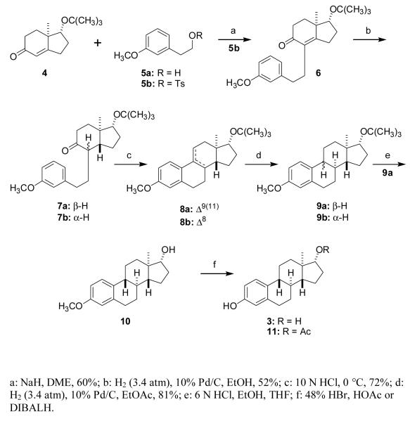 Scheme 2