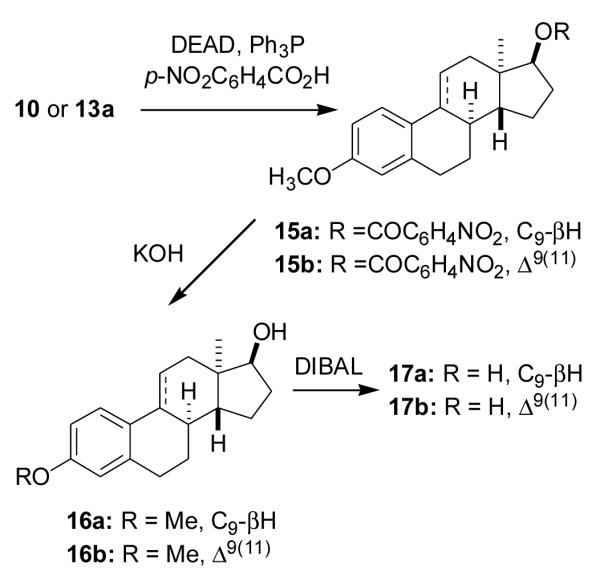 Scheme 5