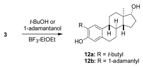 Scheme 3