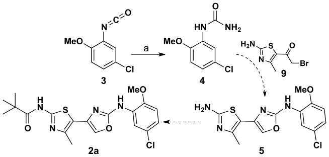 Scheme 1