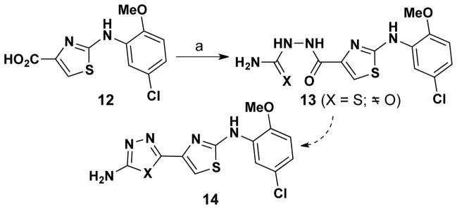 Scheme 4