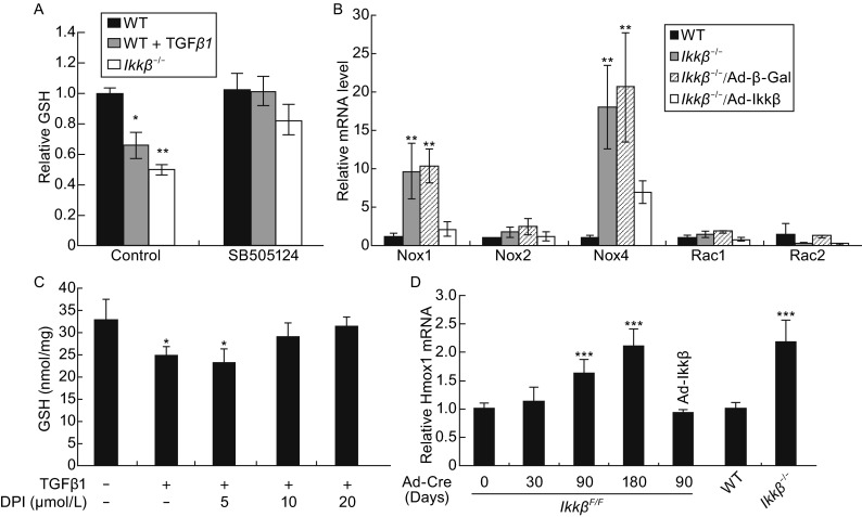 Figure 5