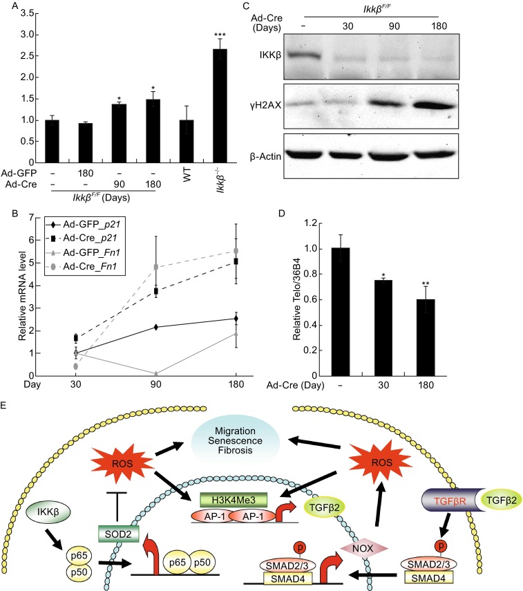 Figure 7