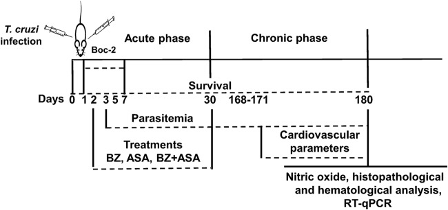 FIG 1