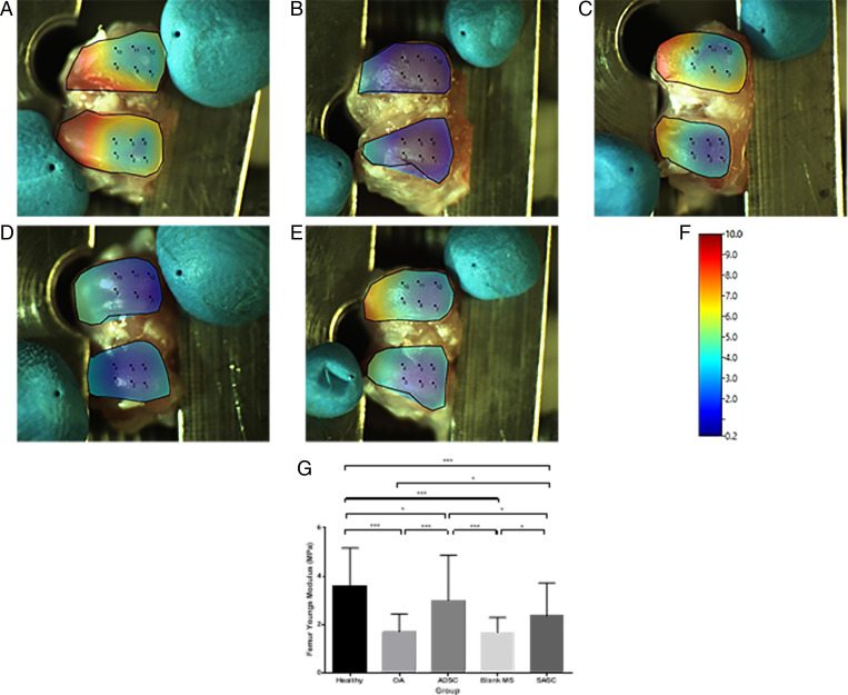 Fig. 8.