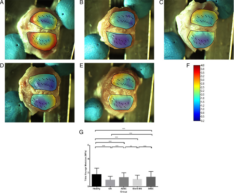 Fig. 7.