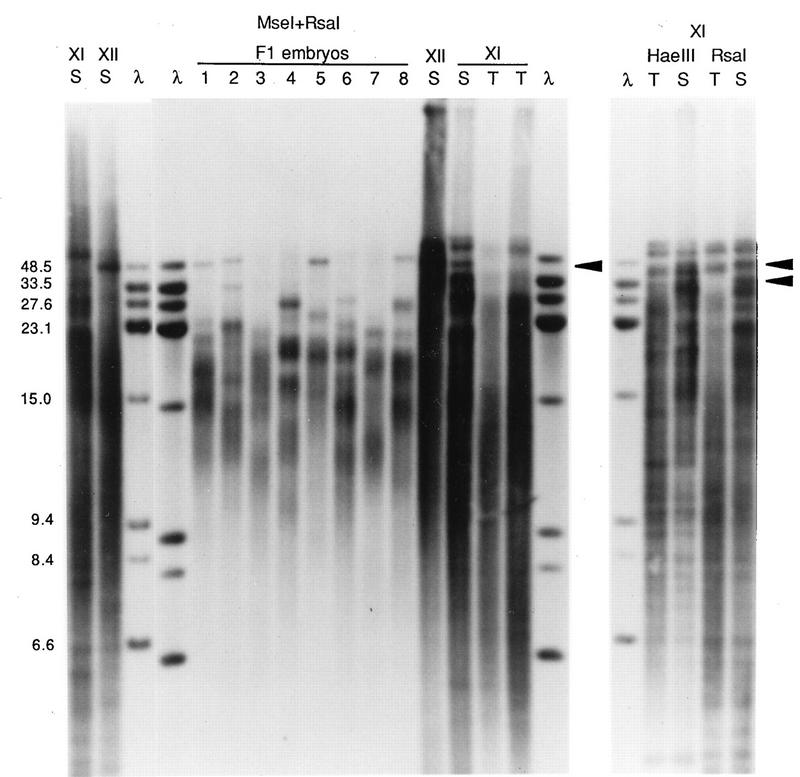 FIG. 5