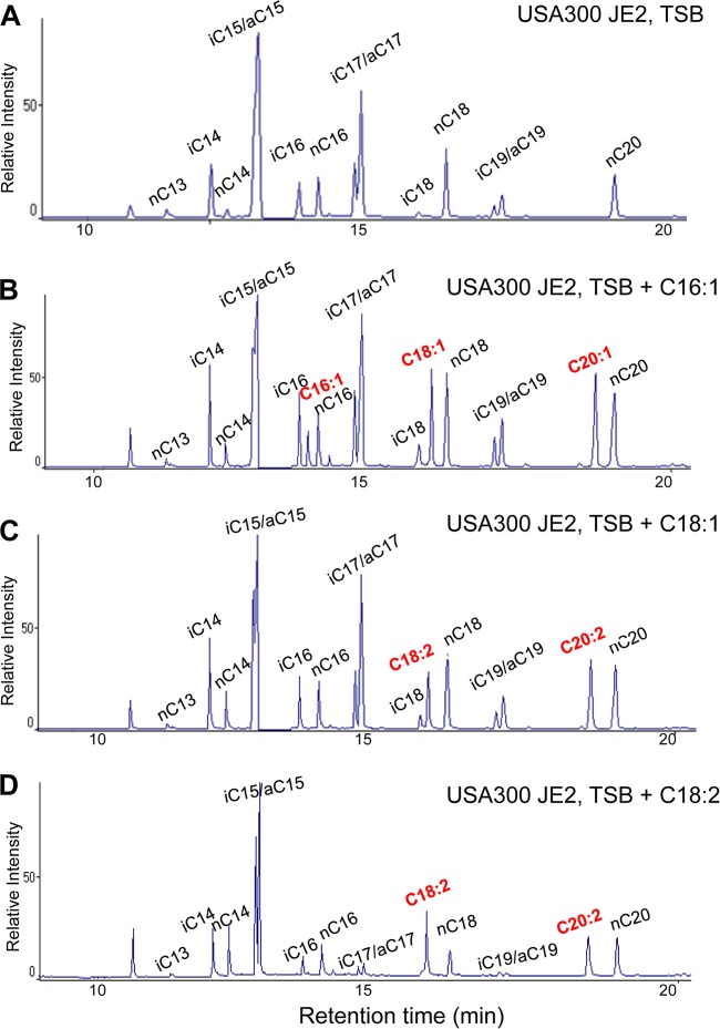 FIG 1