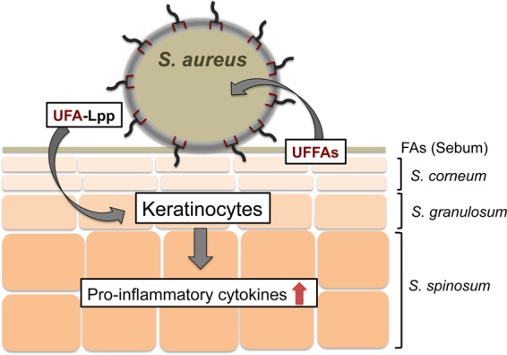 FIG 8