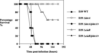 FIG. 7.