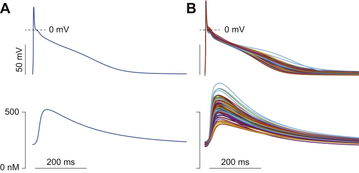 Fig. 2