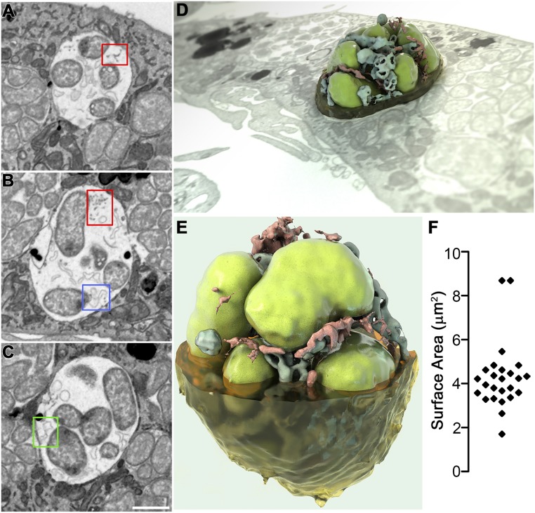 Fig. 7.