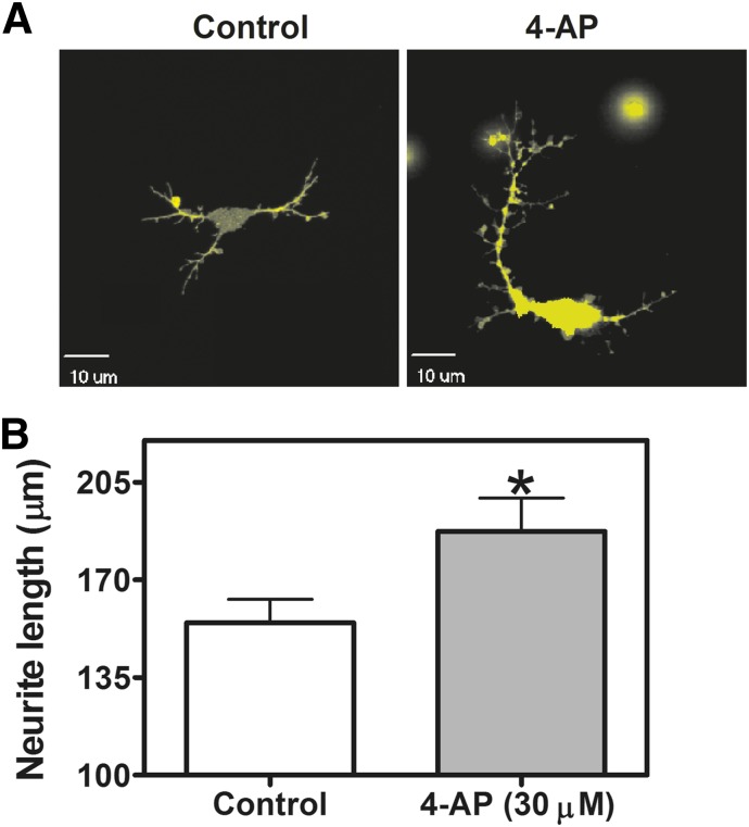 Fig. 9.